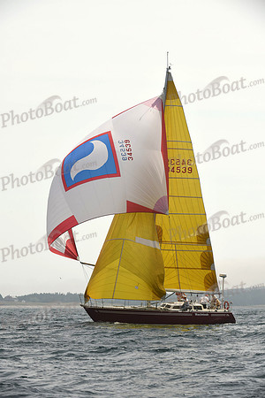 2016 Chester Race Week C 512