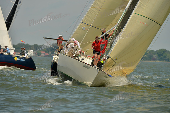 2016 Southern Bay Race Week F_1066