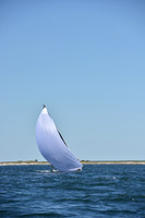 2020 Sept 5_0785