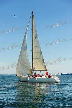 2015 Cape Charles Cup B 456