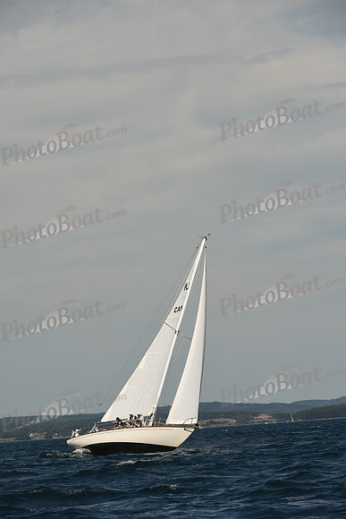 2016 Chester Race Week A_0813