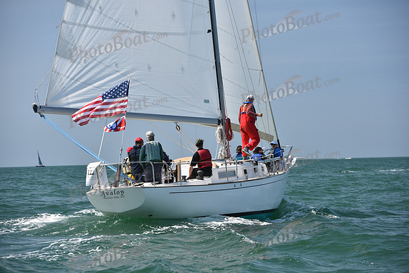 2019 Figawi_0247