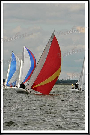 proof_2010_EScows_B 535