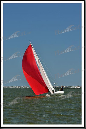 proof_2010_EScows_D 1604