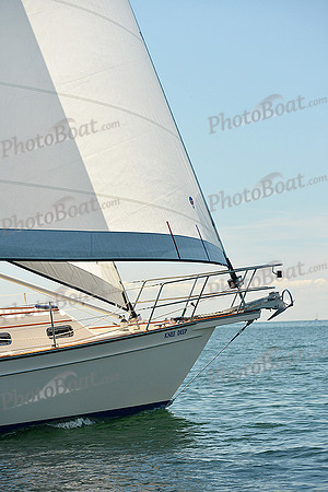 2015 Cape Charles Cup C 286