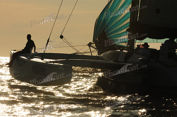 2015 Vineyard Race D 039