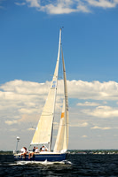 2014 Vineyard Race A 454
