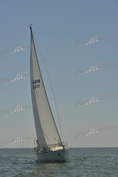 2017 Southern Bay Race Week B_1105