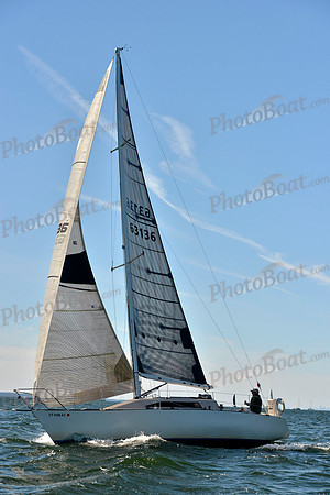 2017 Vineyard Race A_0258