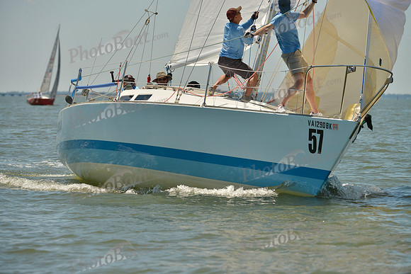 2017 Southern Bay Race Week A_1584
