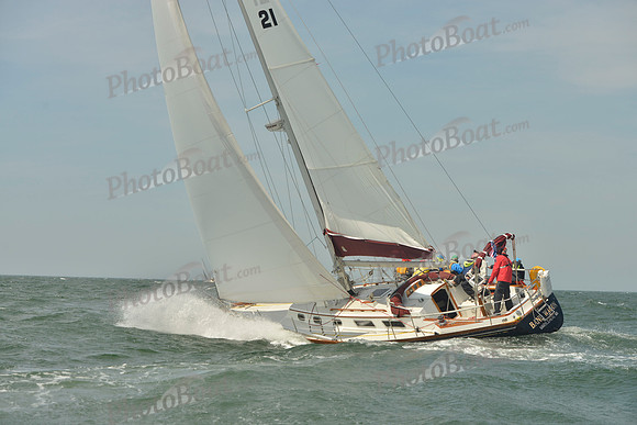 2018 Figawi_0771