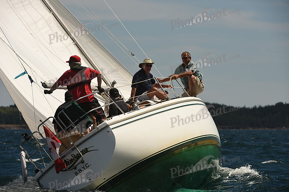 2016 Chester Race Week A_0956