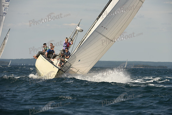 2016 Chester Race Week A_1407