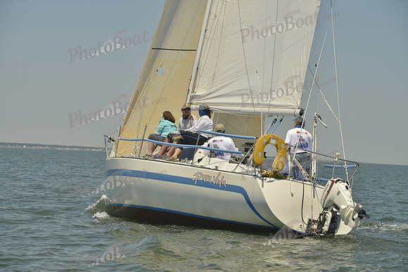 2017 Southern Bay Race Week B_1583