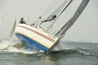 2015 Vineyard Race A 647