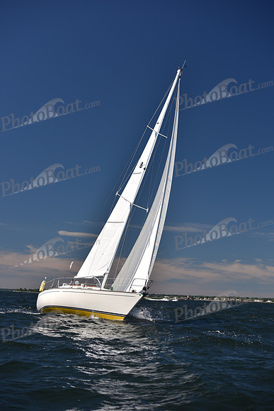 2022 Vineyard Race A_0239