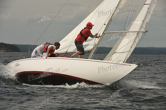 2016 Chester Race Week C_1111