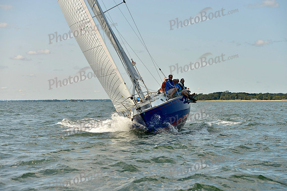 2017 Stamford Denmark Race_0838