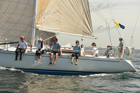 2015 Denmark Race A 503