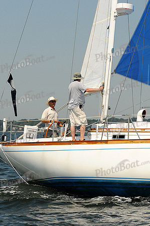 2012 Vineyard Race A 310