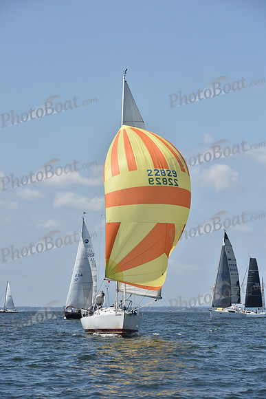 2020 Vineyard Race A_0075