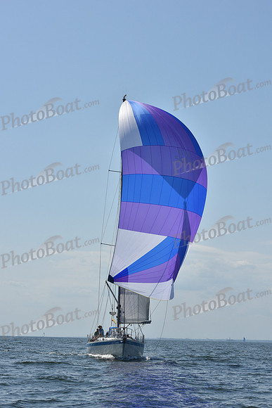 2019 Vineyard Race A_2878