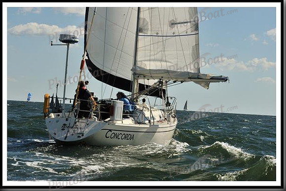 proof_2010_Vineyard_Race_0173