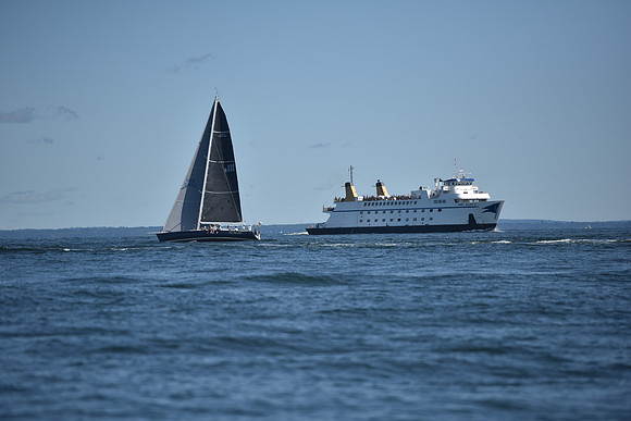 2021 Vineyard Race B 0207