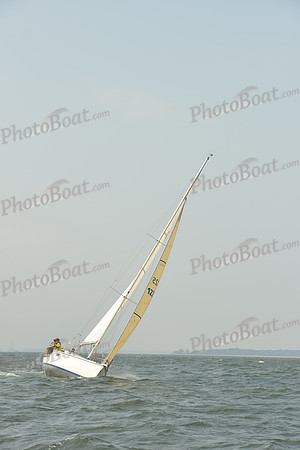 2015 Vineyard Race A 337