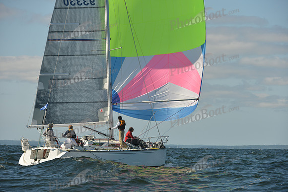 2015 Vineyard Race C 244