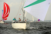 2013 Vineyard Race A 267