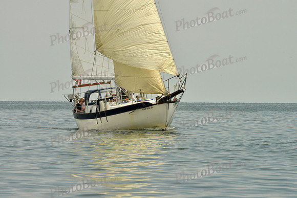2016 Southern Bay Race Week E_0459