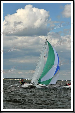 proof_2010_EScows_B 1187