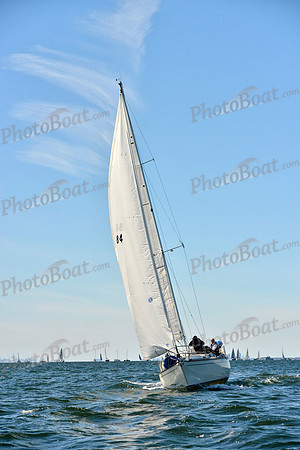 2017 Vineyard Race A_0300