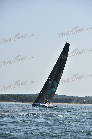 2019 Around Marthas Vineyard A_1554