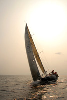 Vineyard Race 461