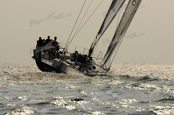2011 Vineyard Race B 321