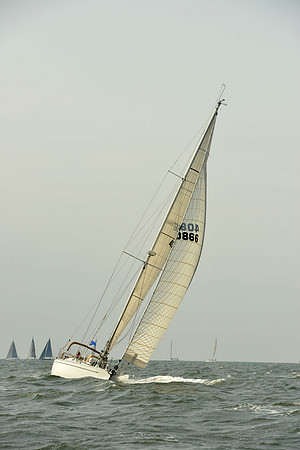 2015 Vineyard Race A 405