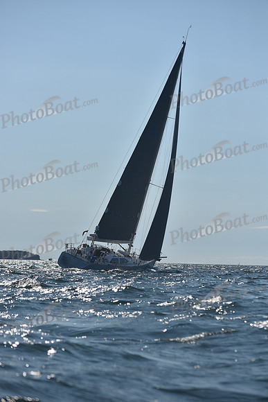 2021 Vineyard Race B 1919