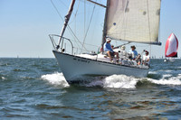 2019 Vineyard Race A_0310