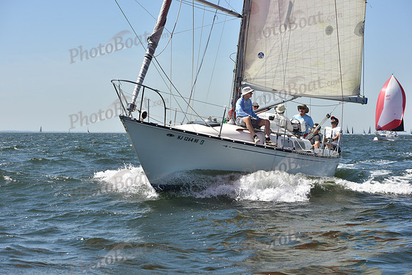 2019 Vineyard Race A_0310
