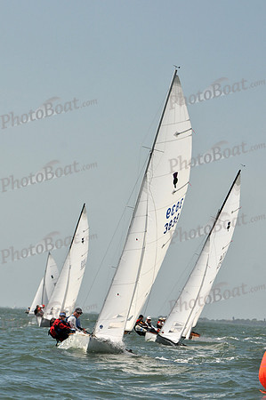 2012 Thistle Midwinters B 1117