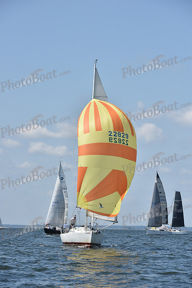 2020 Vineyard Race A_0074
