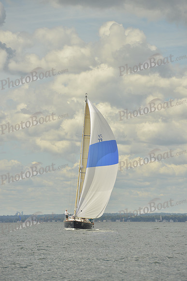 2016 Vineyard Race A_0987