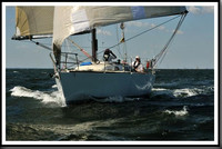 proof_2010_Vineyard_Race_0386