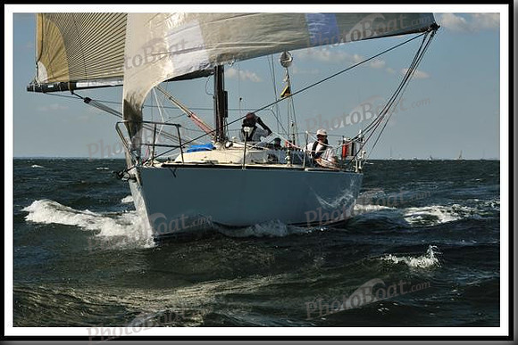 proof_2010_Vineyard_Race_0386