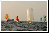 proof_2010 Gov Cup B 339