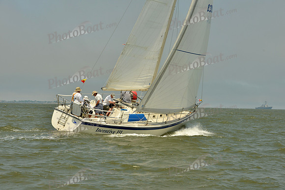2016 Southern Bay Race Week C_0288