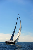 2014 Vineyard Race A 1885