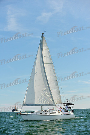 2015 Cape Charles Cup A 1299